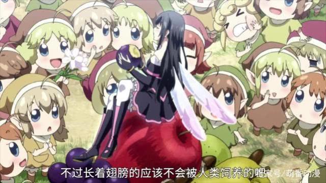 新番《贞德炼金》：深度解析妖精女王身世之谜，疑似魔王指引者！