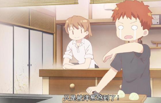 《卫宫家今天的饭》，看似简单，但里面的梗多到数不清