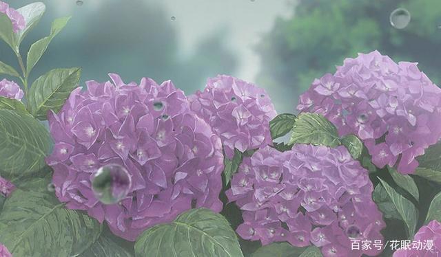 《卫宫家今天的饭》：儿童节开饭了，切嗣爸爸好久不见