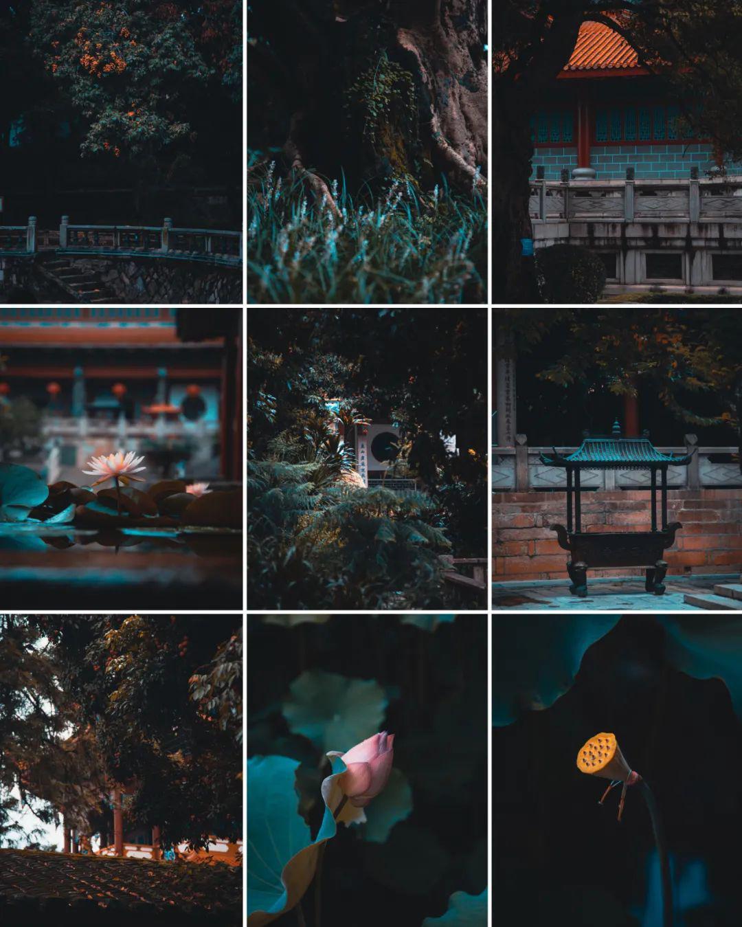 忘记垦丁吧，看海，我只想去福州