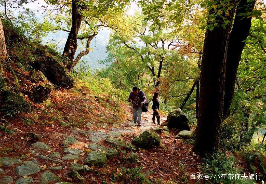 南京周边小众景点徒步路线，以漫山枫树著名，如今到了最佳观赏期