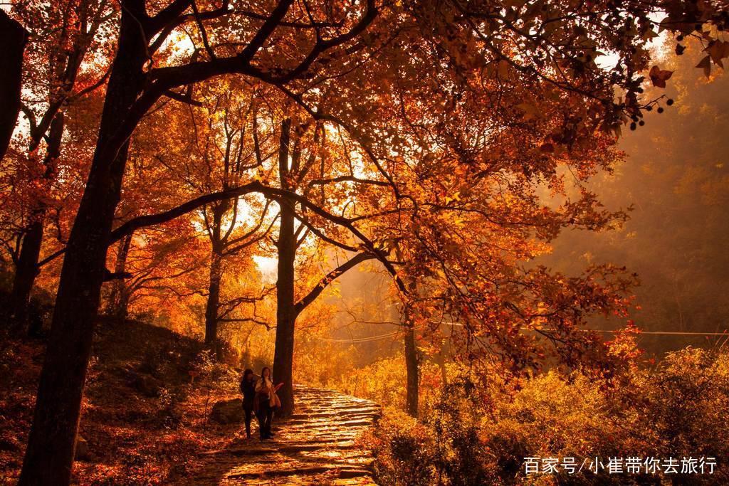 南京周边小众景点徒步路线，以漫山枫树著名，如今到了最佳观赏期