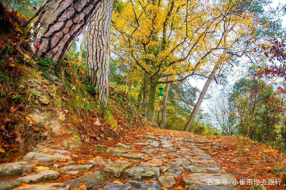 南京周边小众景点徒步路线，以漫山枫树著名，如今到了最佳观赏期
