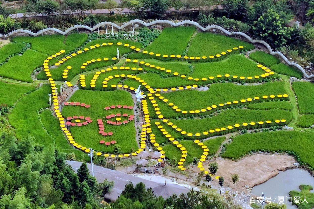 全国首座悬空彩虹仙手桥横空出世，新晋网红打卡地儿在闽中