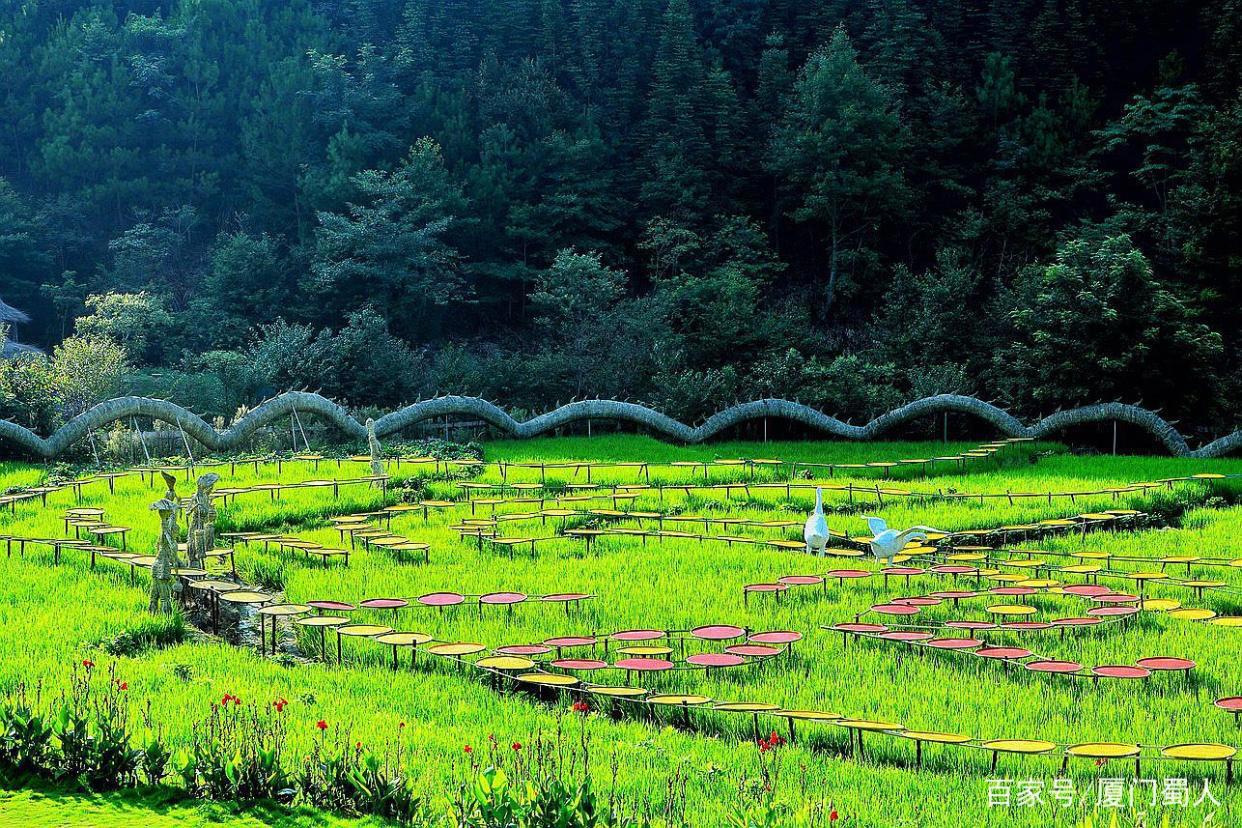 全国首座悬空彩虹仙手桥横空出世，新晋网红打卡地儿在闽中