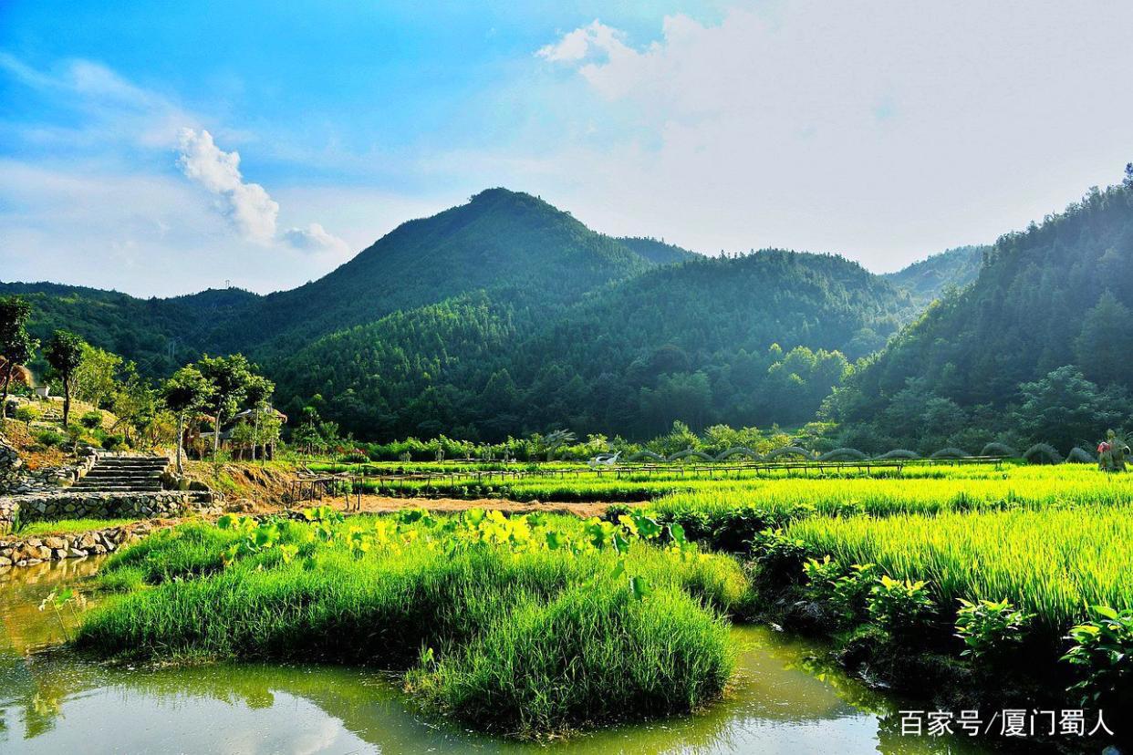 全国首座悬空彩虹仙手桥横空出世，新晋网红打卡地儿在闽中