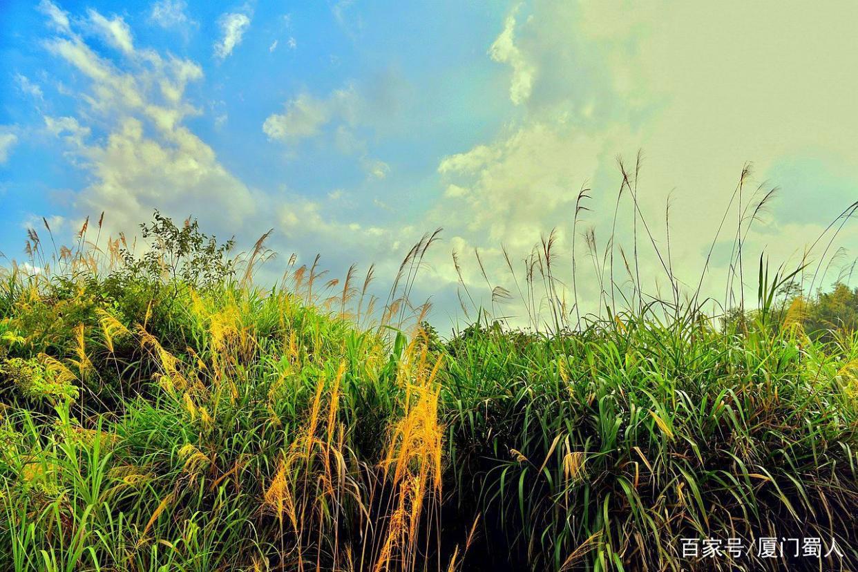 全国首座悬空彩虹仙手桥横空出世，新晋网红打卡地儿在闽中