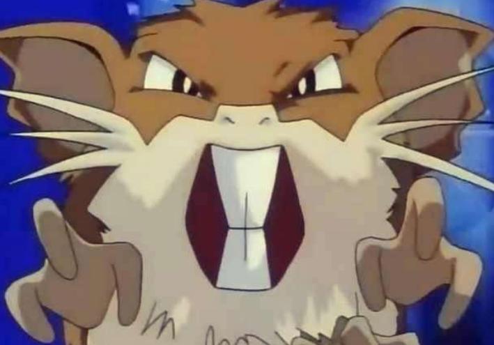 《宝可梦》大概是蛮干换命的经典代表，冷门却很有趣的拉达！