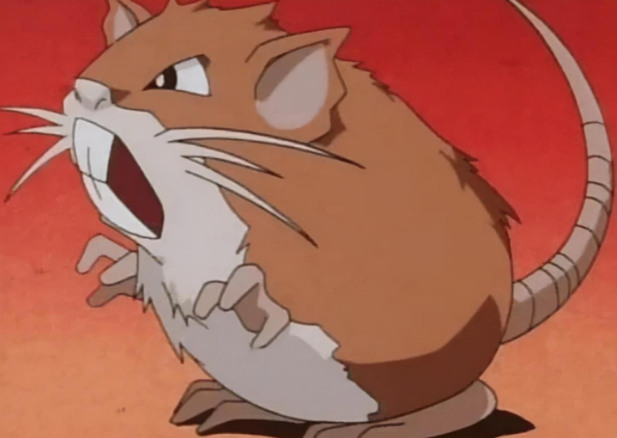 《宝可梦》大概是蛮干换命的经典代表，冷门却很有趣的拉达！