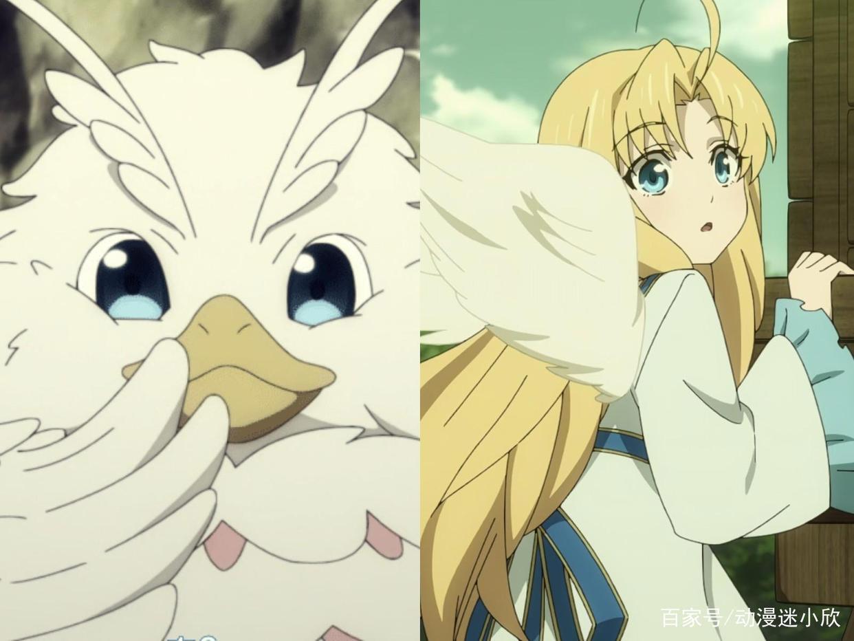 二次元动物进化论，连大猩猩都是潜力股，恶龙秒变软萌少女