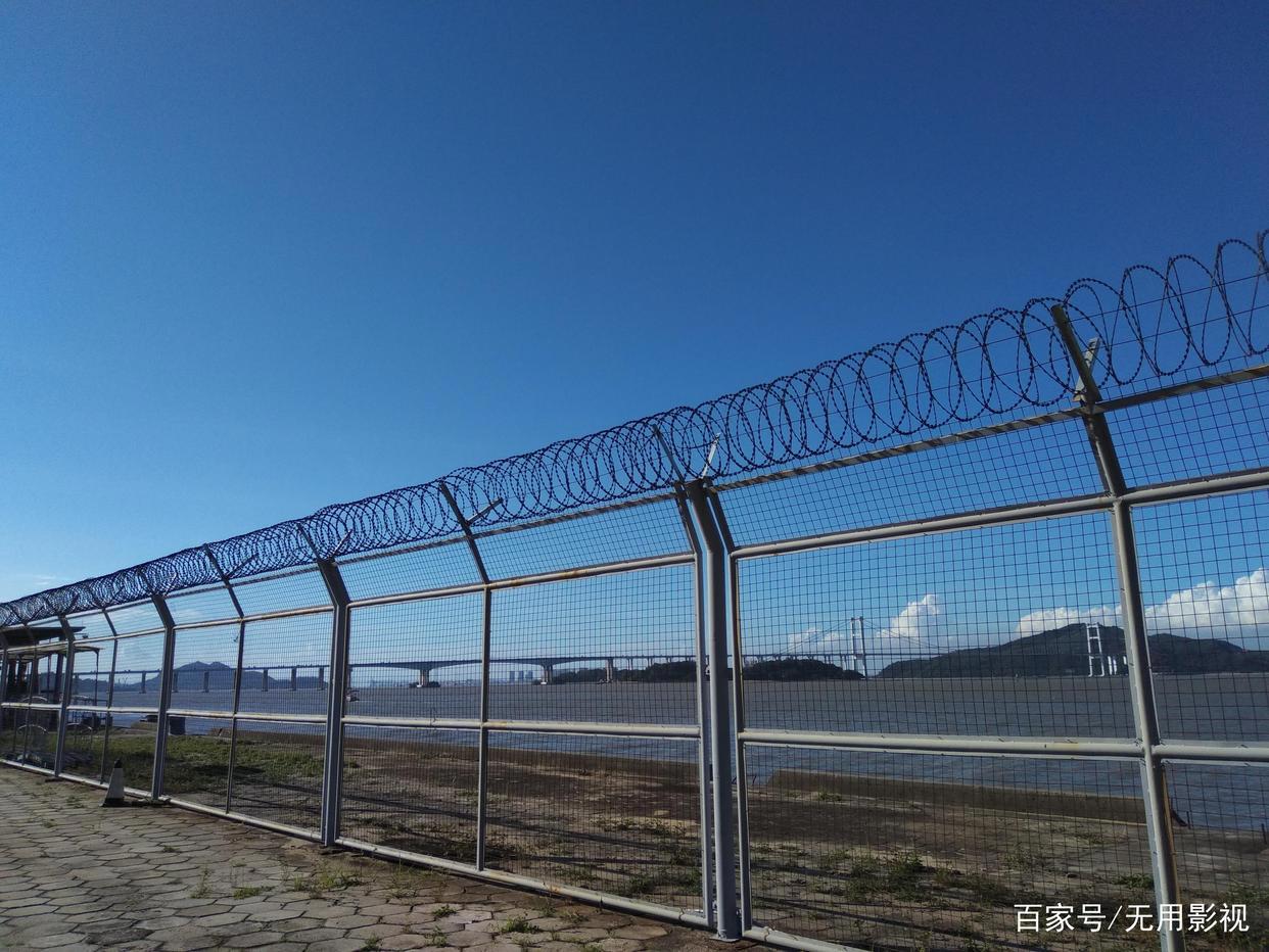 写给电影的一封情书