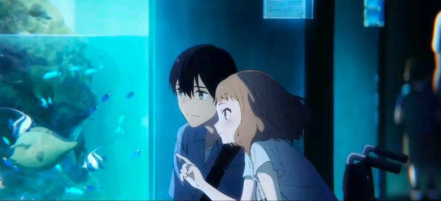 骨头社新作《Jose与虎与鱼们》，超长PV公布，竟是青春向