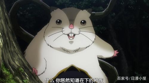 《Overlord不死者之王》魔物四天王，一个最会作死一个萌化少女心