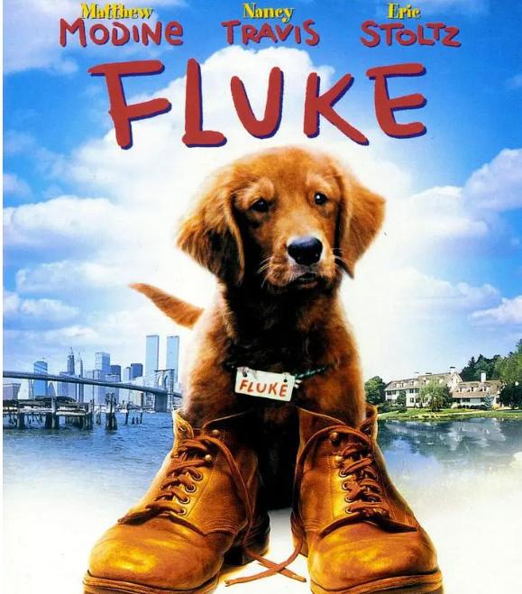 看到你停不下来的高分电影清单，推荐收藏慢慢看