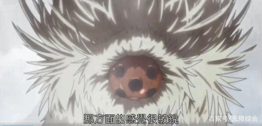 《来自深渊》世界观，流浪的黄昏的人物、怪物动画细节很有脑洞