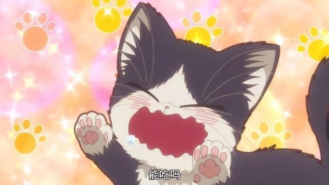 大型推番现场1月哪些动画值得追？