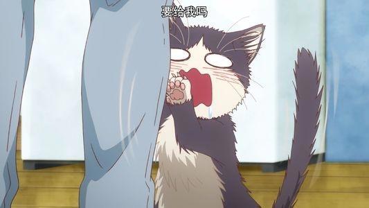 大型推番现场1月哪些动画值得追？