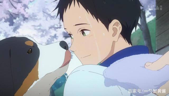 《风舞高中弓道部》又一部拍手叫好的运动番