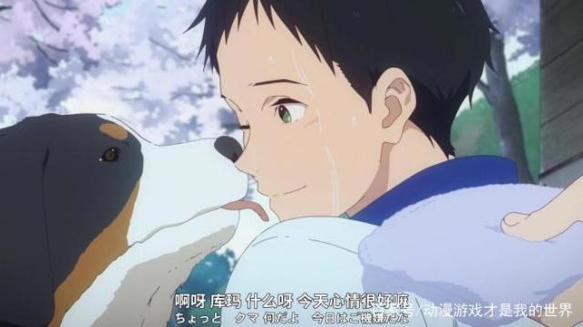 动漫介绍《弦音-风舞高中弓道部》