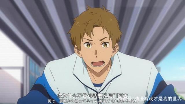 动漫介绍《弦音-风舞高中弓道部》