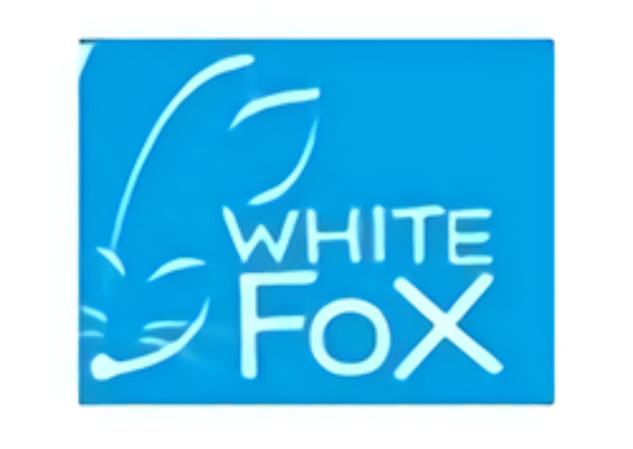 某些制作组低调名声不显，作品质量媲美骨头社！