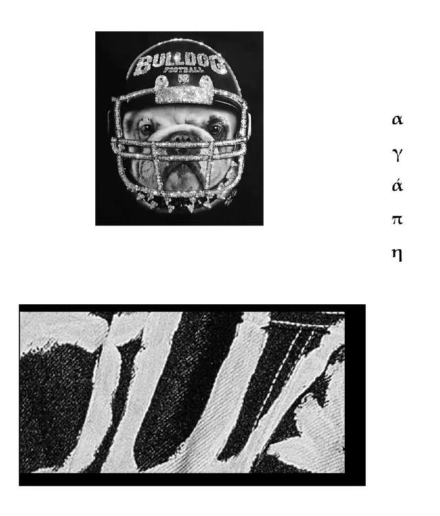 星光邦×汪东城爱我爱的