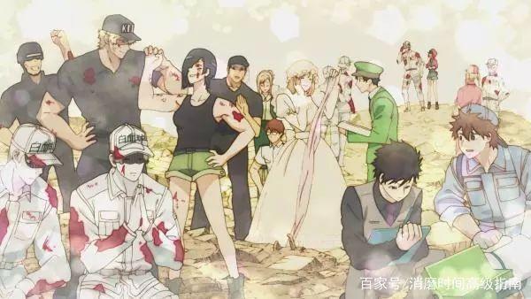 工作细胞：为了这些在你体内努力工作的细胞们，也请爱惜你自己