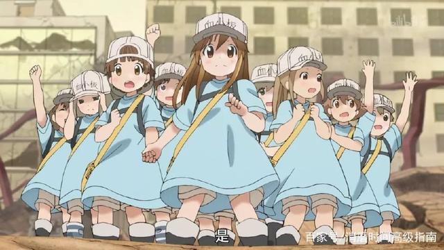 工作细胞：为了这些在你体内努力工作的细胞们，也请爱惜你自己