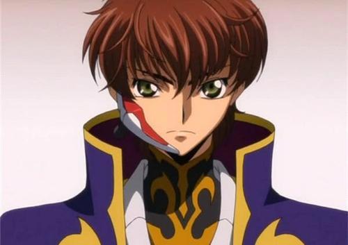 动漫大赏：反叛的鲁鲁修十年记（TV篇）