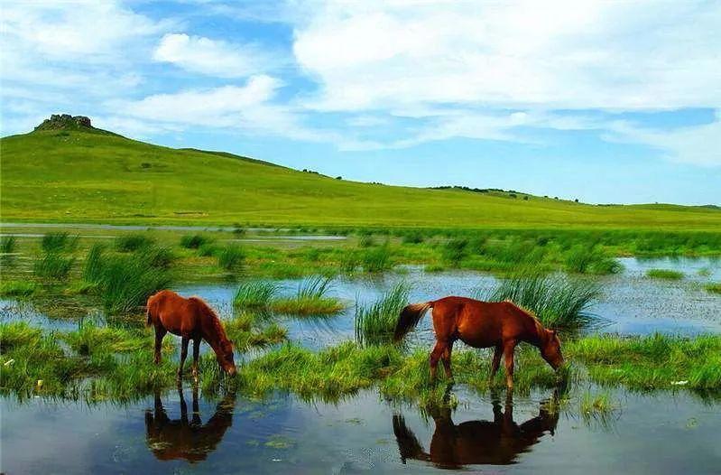 最新！河北鼓励推行周末2.5天弹性休假