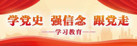 共青团以组织化学习为特色推进青少年党史学习教育