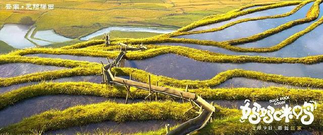 《妈妈咪鸭》——小鸭子挺可爱的，全场小朋友超级开心