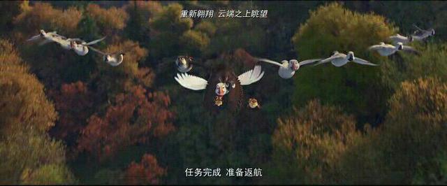 《妈妈咪鸭》一只叫做大鹏的大雁还没有做爸爸就已经当了好妈妈