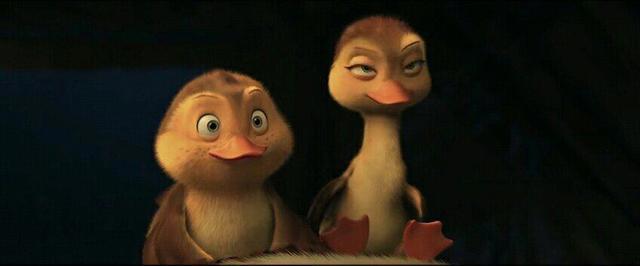 《妈妈咪鸭》一只叫做大鹏的大雁还没有做爸爸就已经当了好妈妈