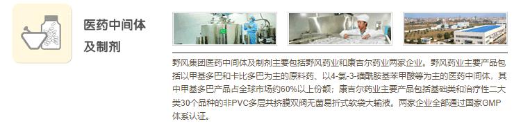 野风药业创业板IPO终止，爱创业的浙商“少帅”上市梦碎