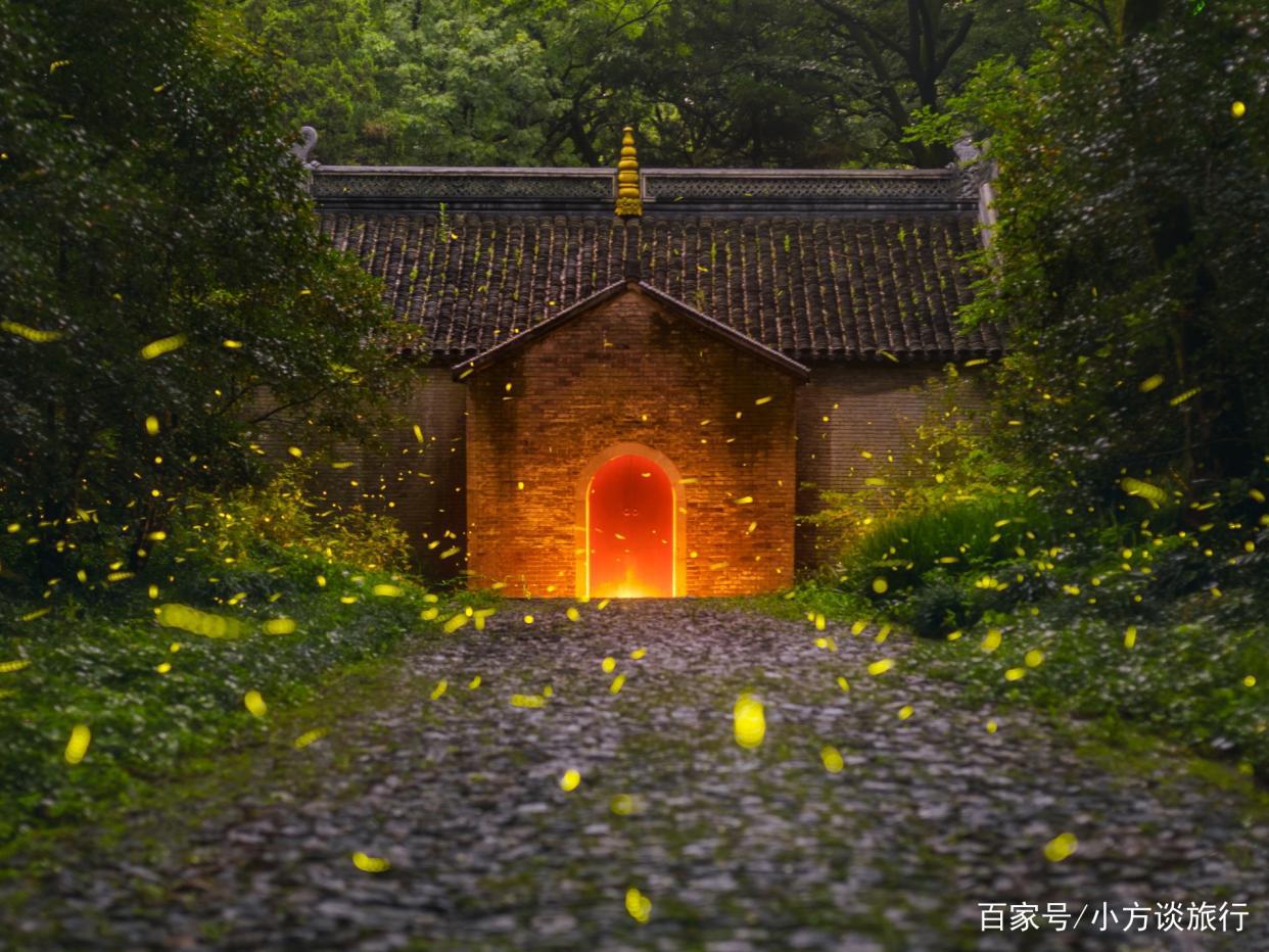 南京有一景区真实还原动漫《萤火之森》场景，游客：美哭了！