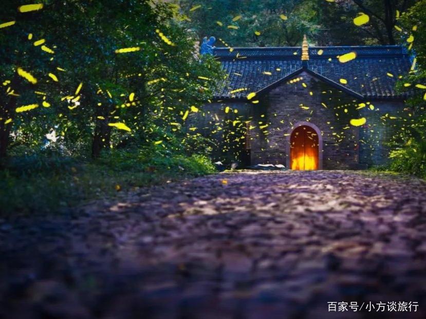 南京有一景区真实还原动漫《萤火之森》场景，游客：美哭了！