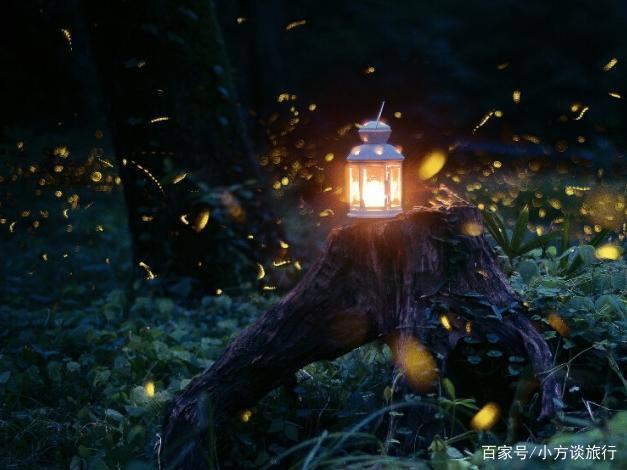 南京有一景区真实还原动漫《萤火之森》场景，游客：美哭了！