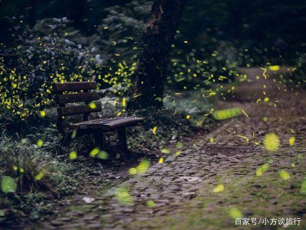 南京有一景区真实还原动漫《萤火之森》场景，游客：美哭了！