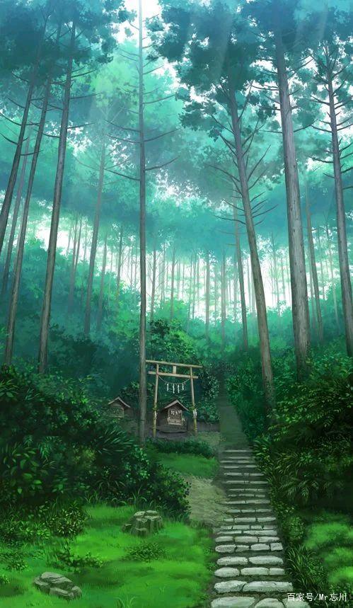 动漫推荐第十二弹：《萤火之森》——不能拥抱的爱情