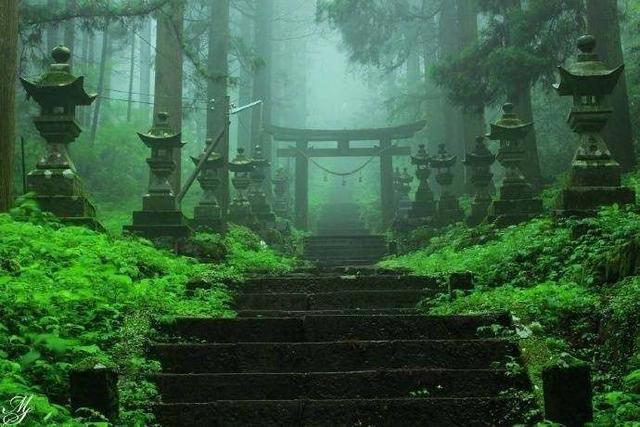治愈动漫《萤火之森》取景地,森林里的神社仿佛仙境