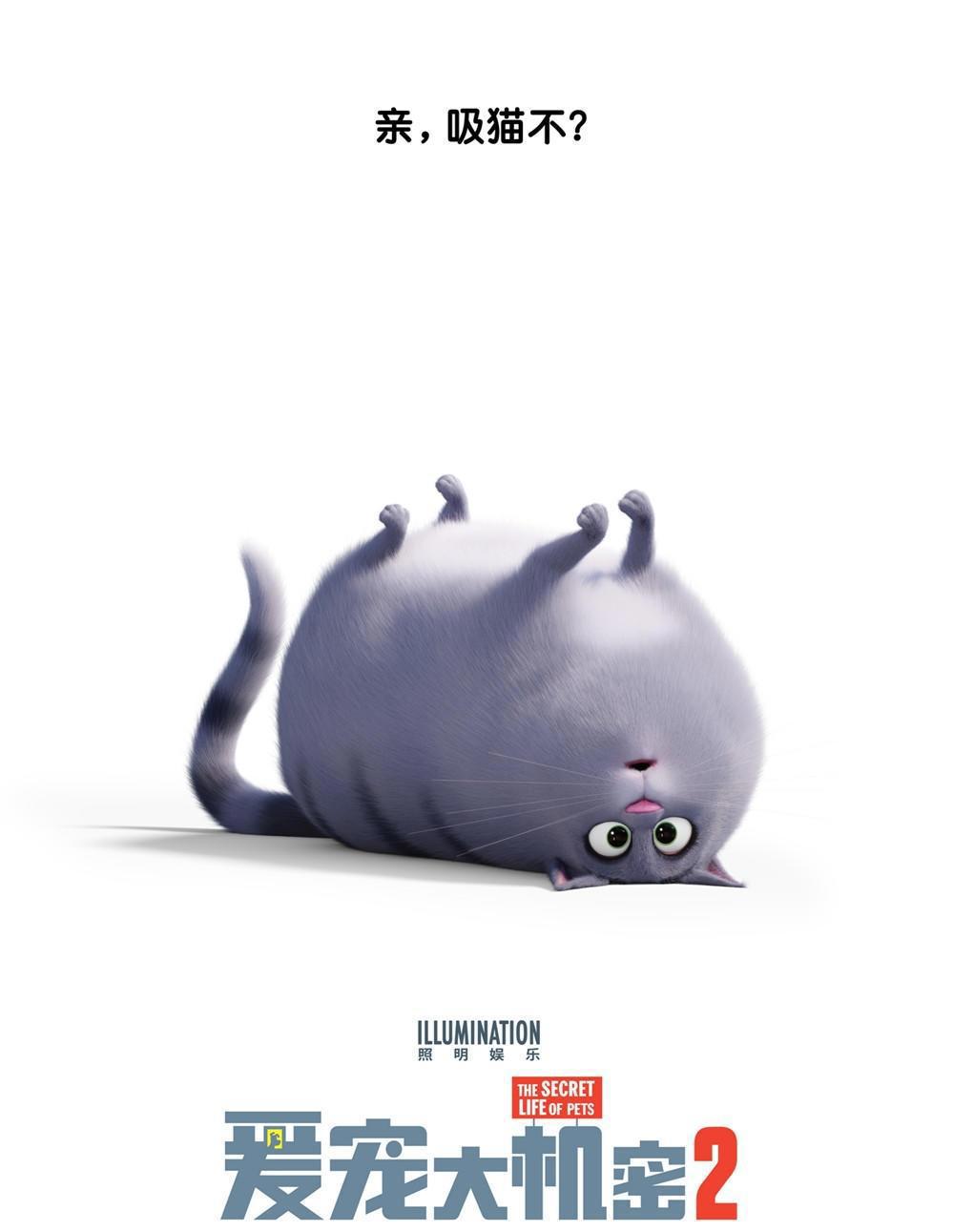 《爱宠2》颇具“套路”的剧情和隐藏的“致敬”你发现了吗？