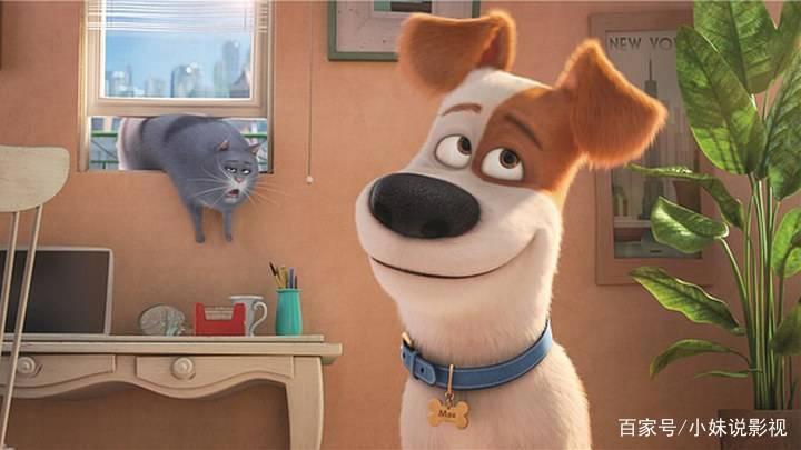 《爱宠2》颇具“套路”的剧情和隐藏的“致敬”你发现了吗？