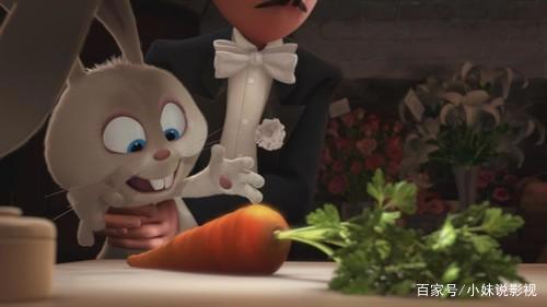 《爱宠2》颇具“套路”的剧情和隐藏的“致敬”你发现了吗？