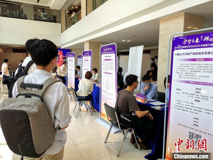 湖南为台湾青年搭建招聘分享会“前辈”分享经验