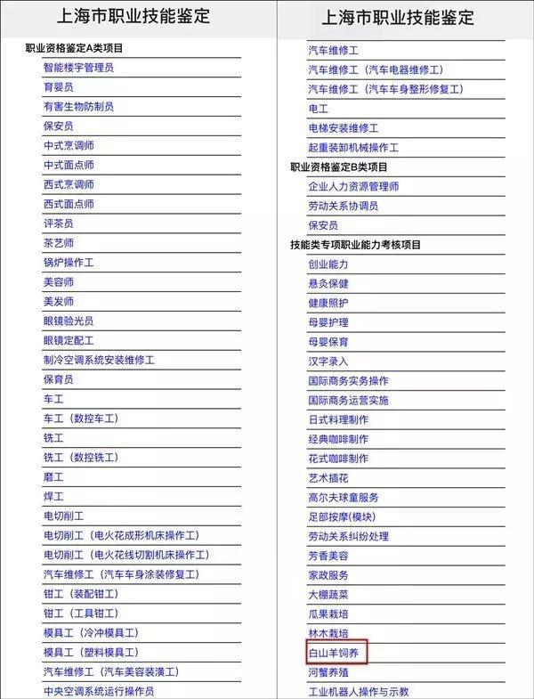 一大批“宝藏”官网被“曝光”！全国网友都被这些“神仙项目”惊呆了