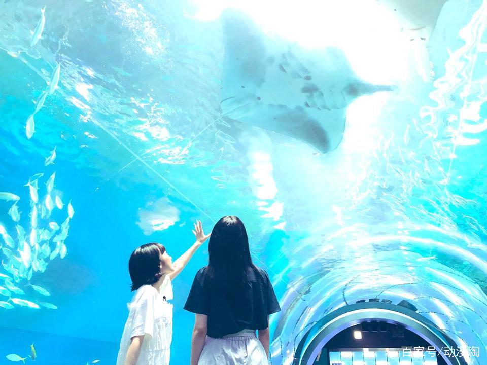 近期完结的漫画盘点，有2对情侣已圆满，还有一个全都要