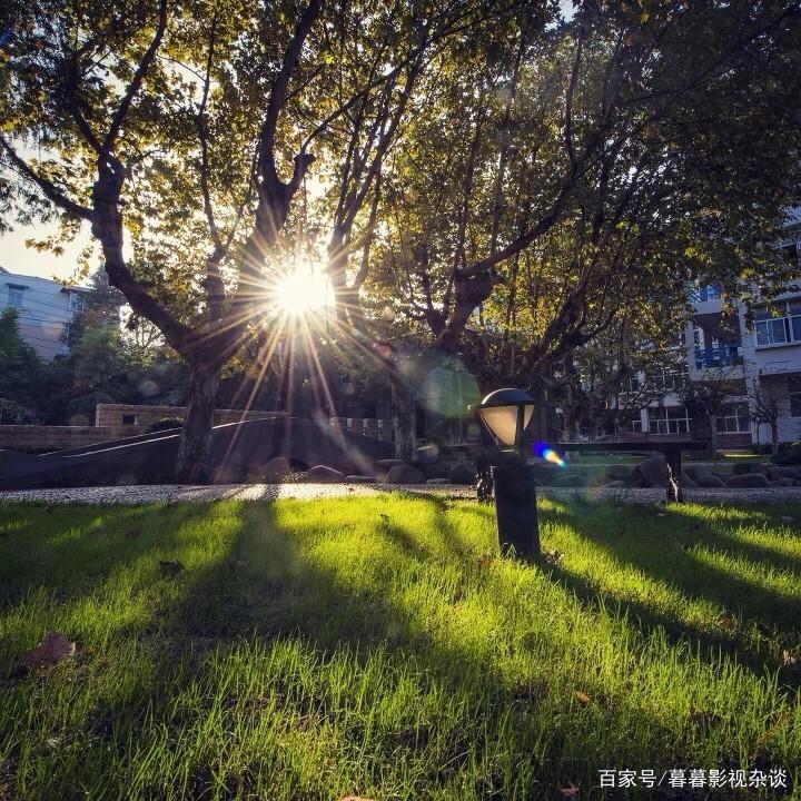 不忘初心，一部给成年人看的动漫《哆啦A梦》，今天你随份子了吗