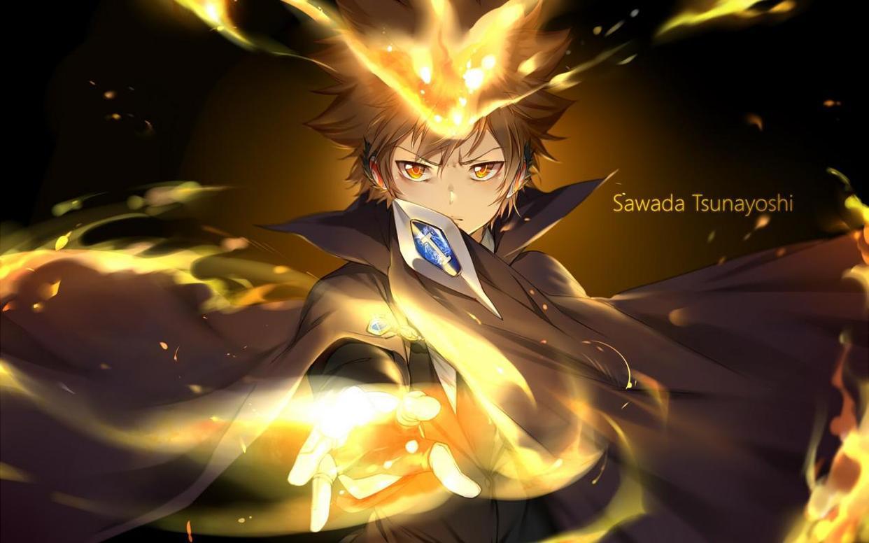 动漫《家庭教师》里各种死气炎最强的七人（仅限动画tv版出场）