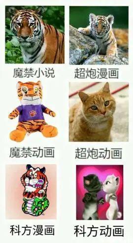 历经15年的轻小说巨头，就败于动画？浅谈《魔法禁书目录》的成功